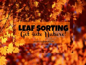 Leaf Sorting-Get Into Nature {This Reading Mama}