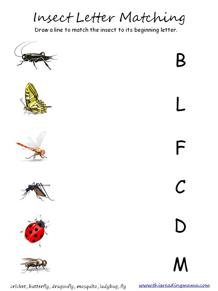 I is for Insect: FREE Printables Included! - This Reading Mama