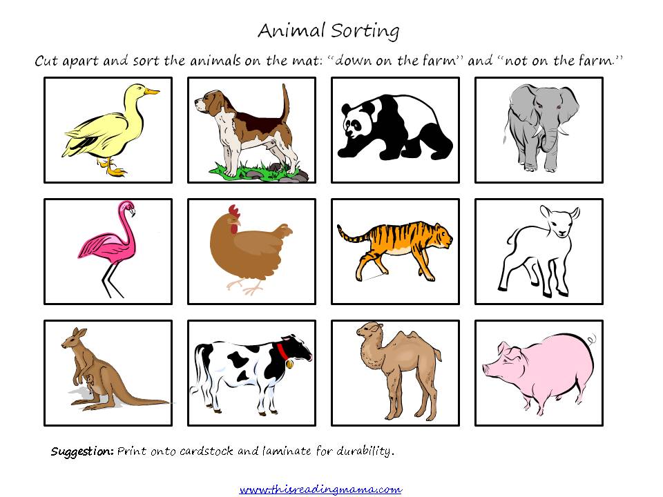 Animal Sorting Pict This Reading Mama