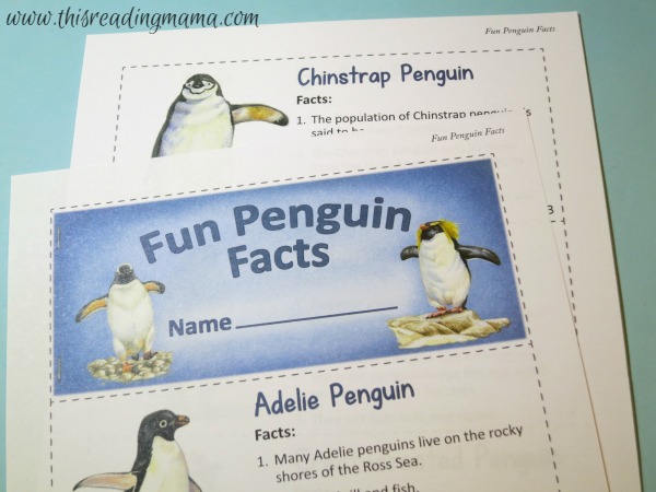 fun penguin facts