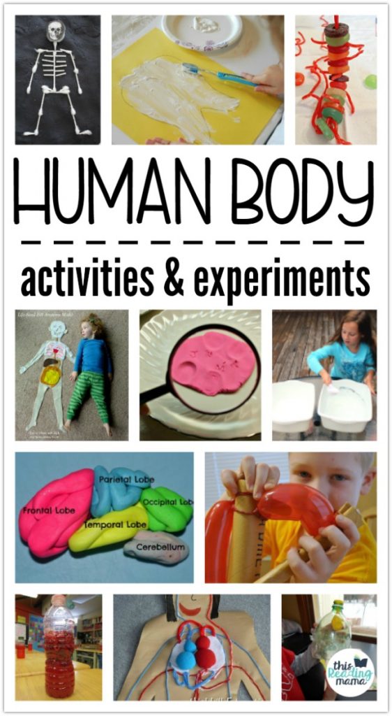Human Body Activities and Experiments for Kids - a collection by This Reading Mama