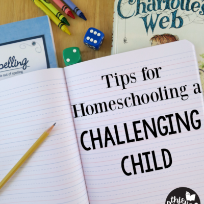 Tips for Homeschooling a Challenging Child