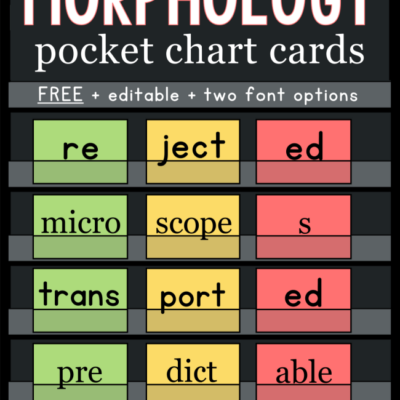 Morphology Pocket Chart Cards