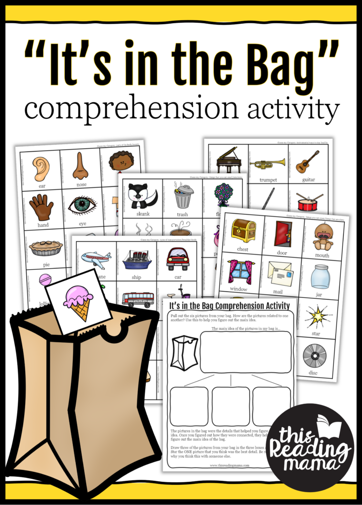 Main Idea Activity Pack - "It's in the Bag" - This Reading Mama