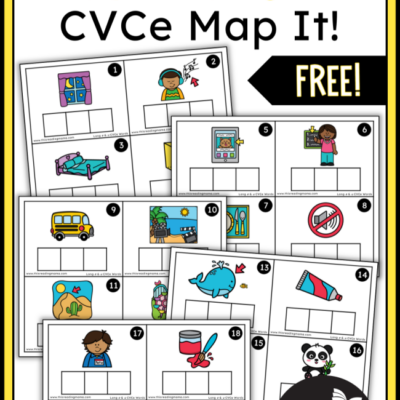 Long e and u CVCe Mapping Task Cards