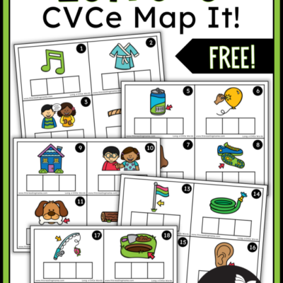 Long o CVCe Mapping Task Cards
