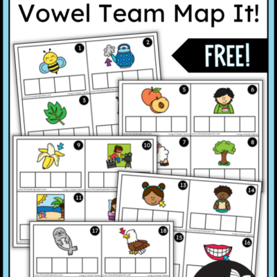 Long e Vowel Team Mapping Cards
