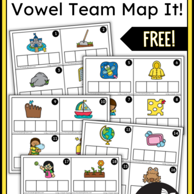 Long o Vowel Team Mapping Cards