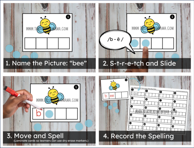 Long e vowel team mapping cards - bee example