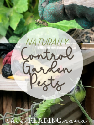 Naturally Control Garden Pests - This Reading Mama